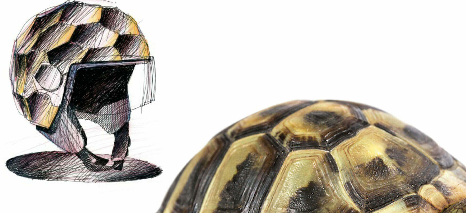 Caretta Caretta