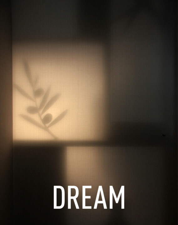 Dream-Mario-Trimarchi-Design-Newsletter-2026