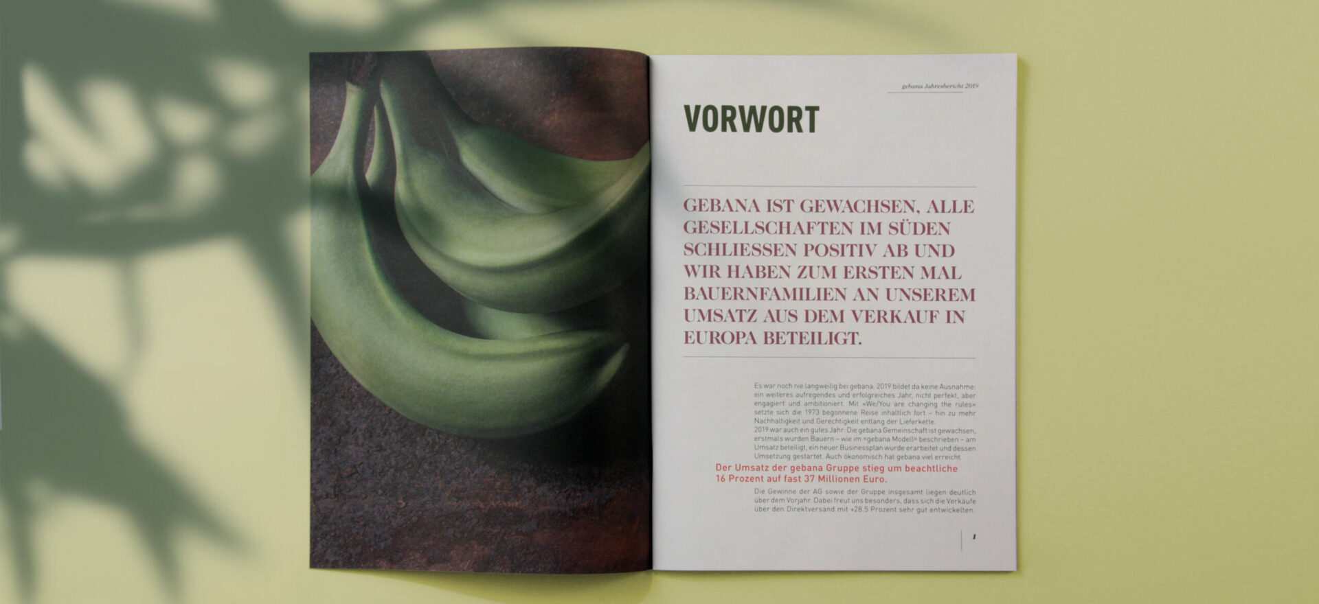 Open Catalogue for Gebana showing details of typography, titles, images and texts detailing composition of the Catalogue in a light green background.