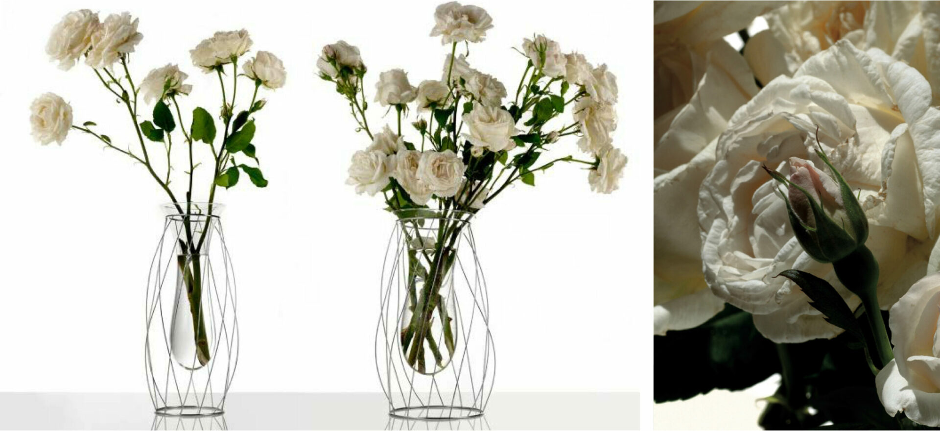 Intanto | Flower vases | Product Design | Alessi | Mario Trimarchi Design