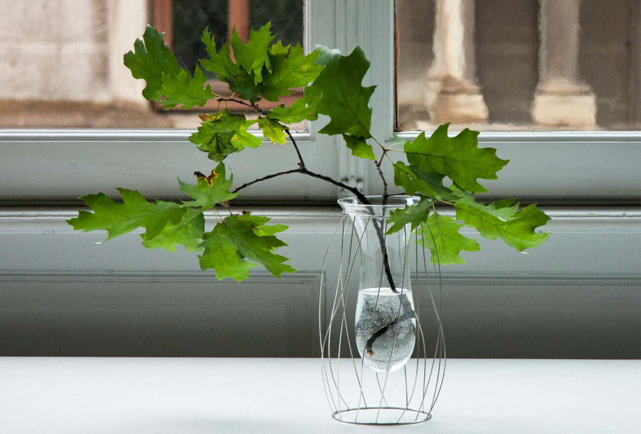 Intanto_Alessi_Flower vases_Window_Mario Trimarchi Design_Products Artworks