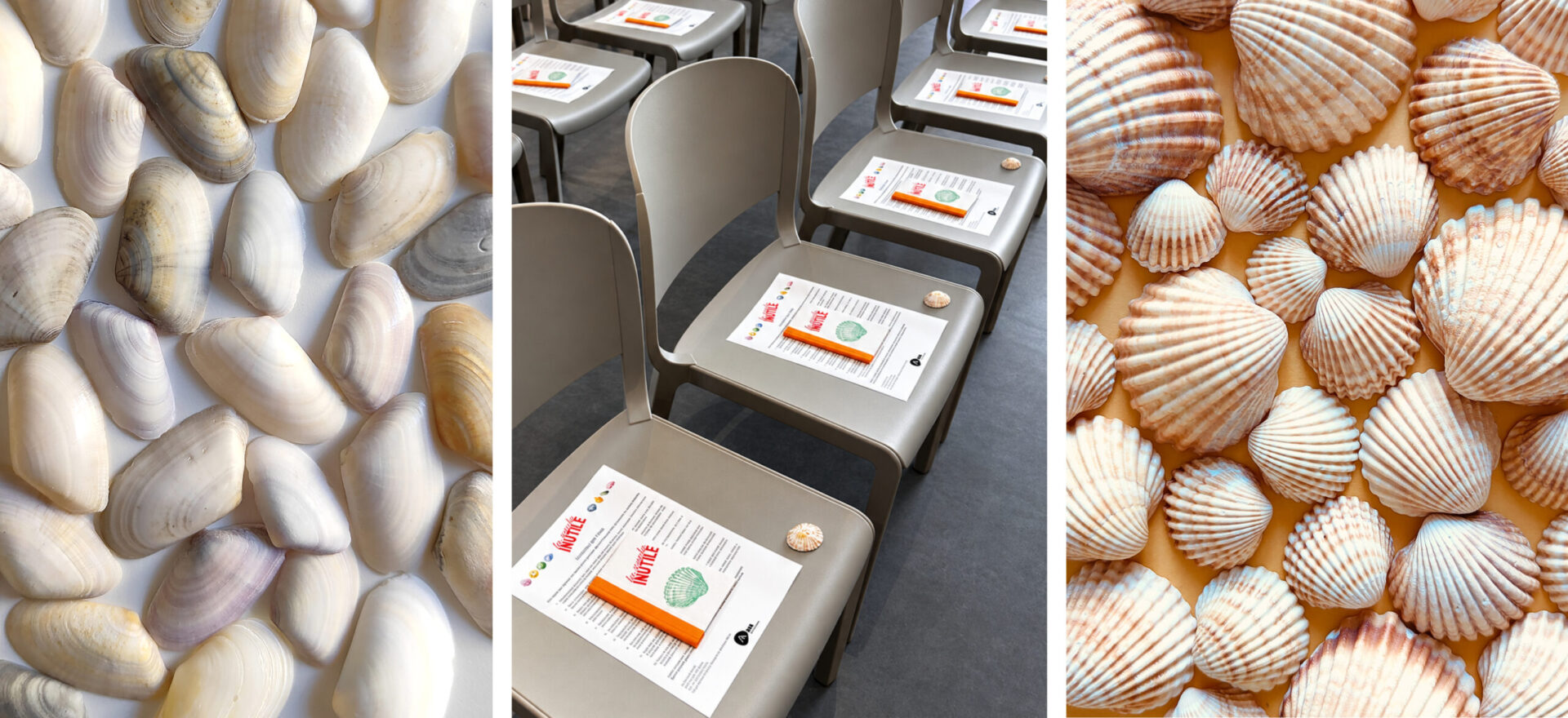 La Scuola Inutile - Branding - conchiglie - exhibition La Scuola Inutile - Branding - conchiglie - exhibition