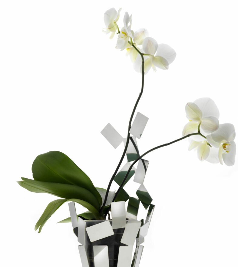 La Stanza dello Scirocco | Product Design | Flower Pot | Alessi | Mario Trimarchi Design | Ph Santi Caleca