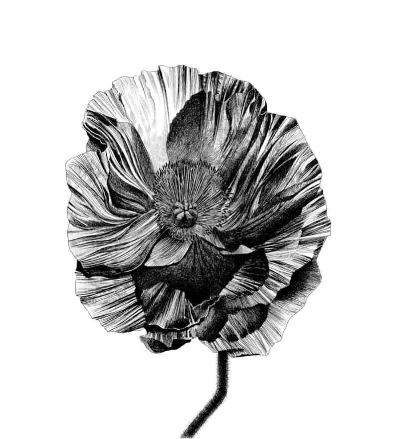 Mario-Trimarchi-Design-Drawings-Ink-On-Paper-Artworks-Collection-02-2026