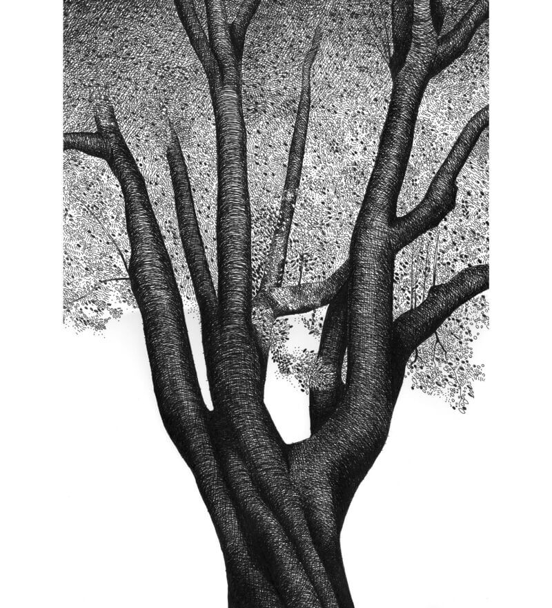 Mario-Trimarchi-Design-Drawings-Ink-On-Paper-Artworks-Collection-03-2026