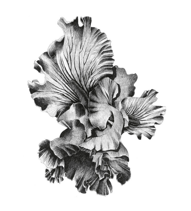 Mario-Trimarchi-Design-Drawings-Ink-On-Paper-Artworks-Collection-05-2026