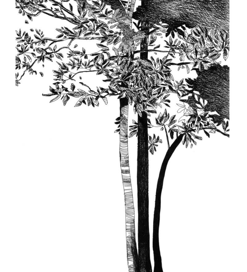 Mario-Trimarchi-Design-Drawings-Ink-On-Paper-Artworks-Collection-06-2026