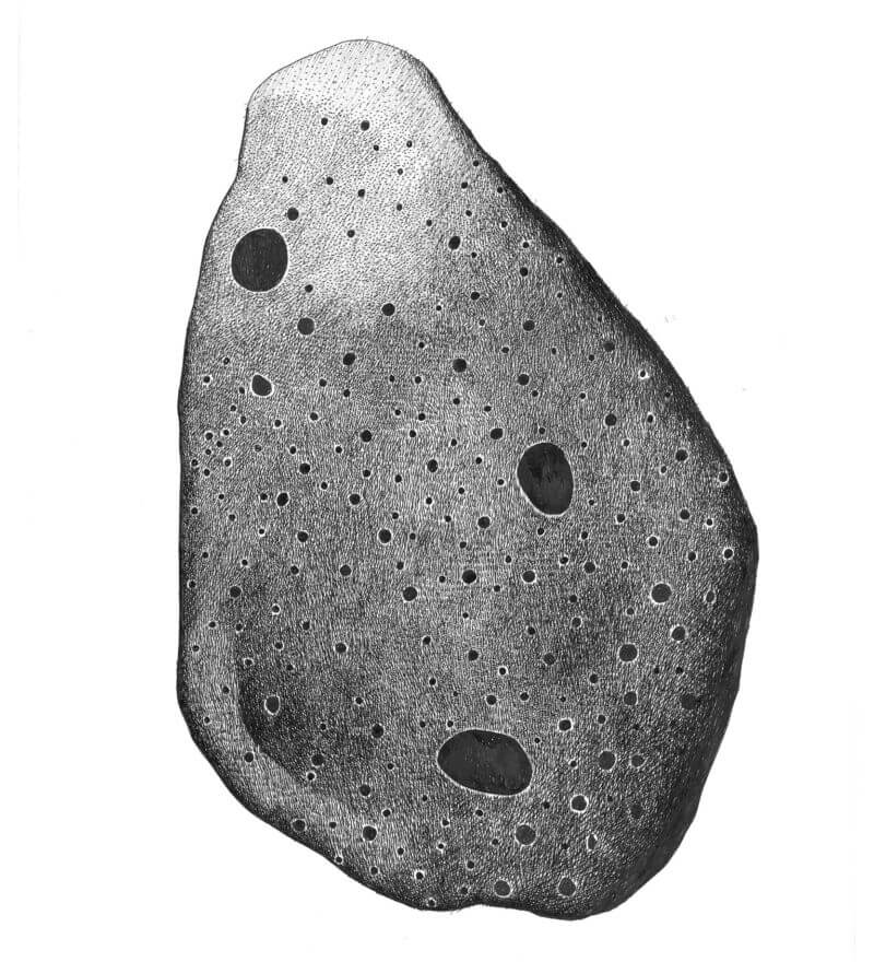 Mario-Trimarchi-Design-Stone-Drawing-Ink-On-Paper-Artwork-2026