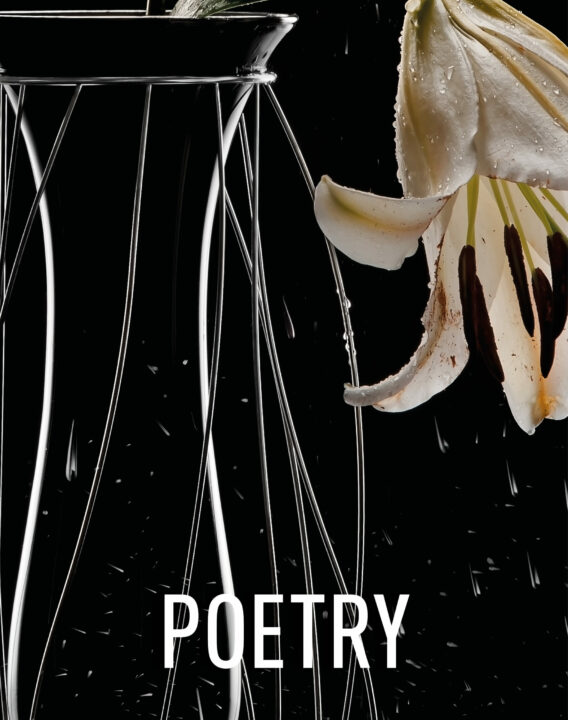 Poetry-Mario-Trimarchi-Design-Newsletter-2026