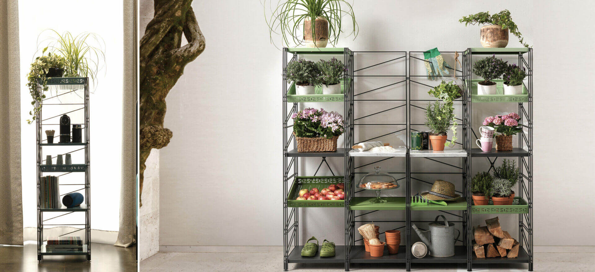 Socrate Outdoor Caimi