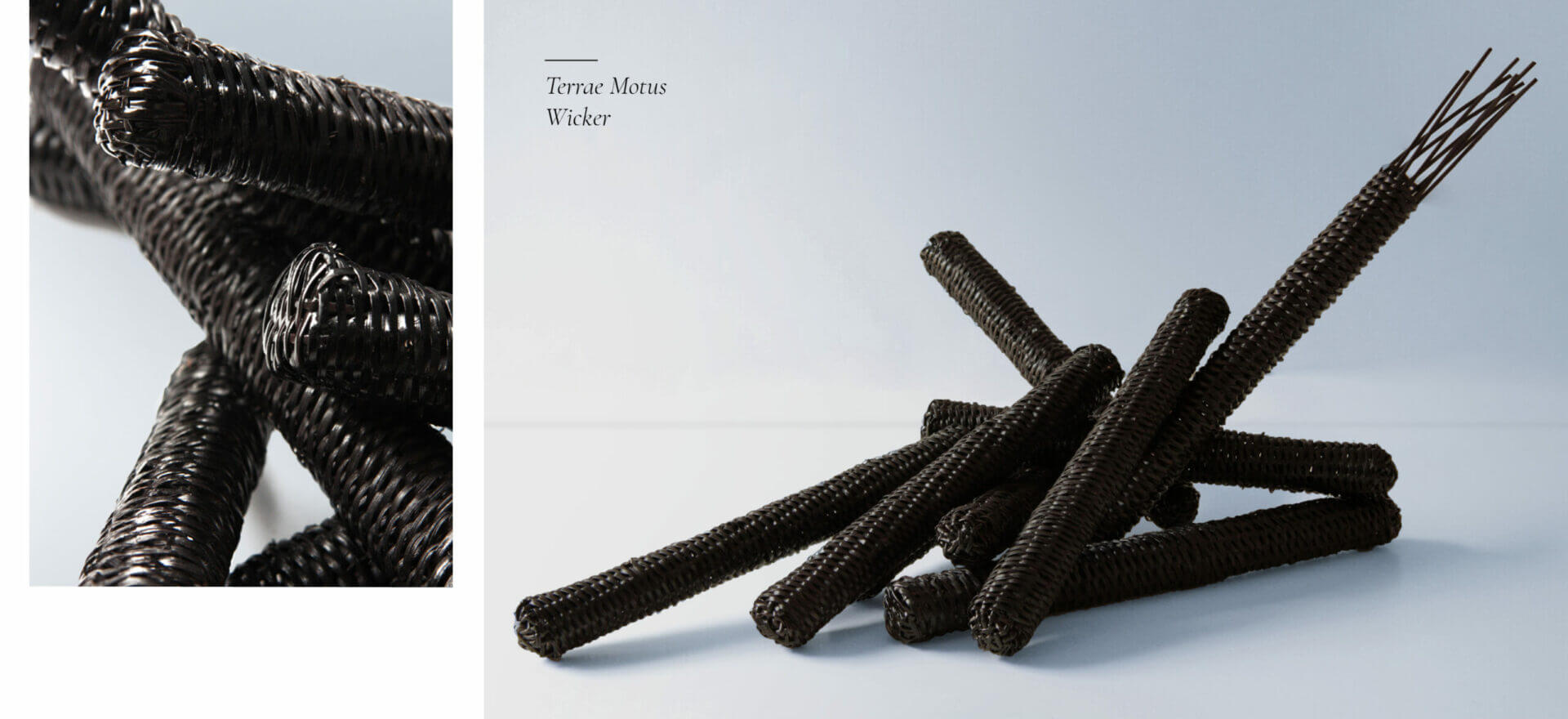 Terrae Motus Wicker