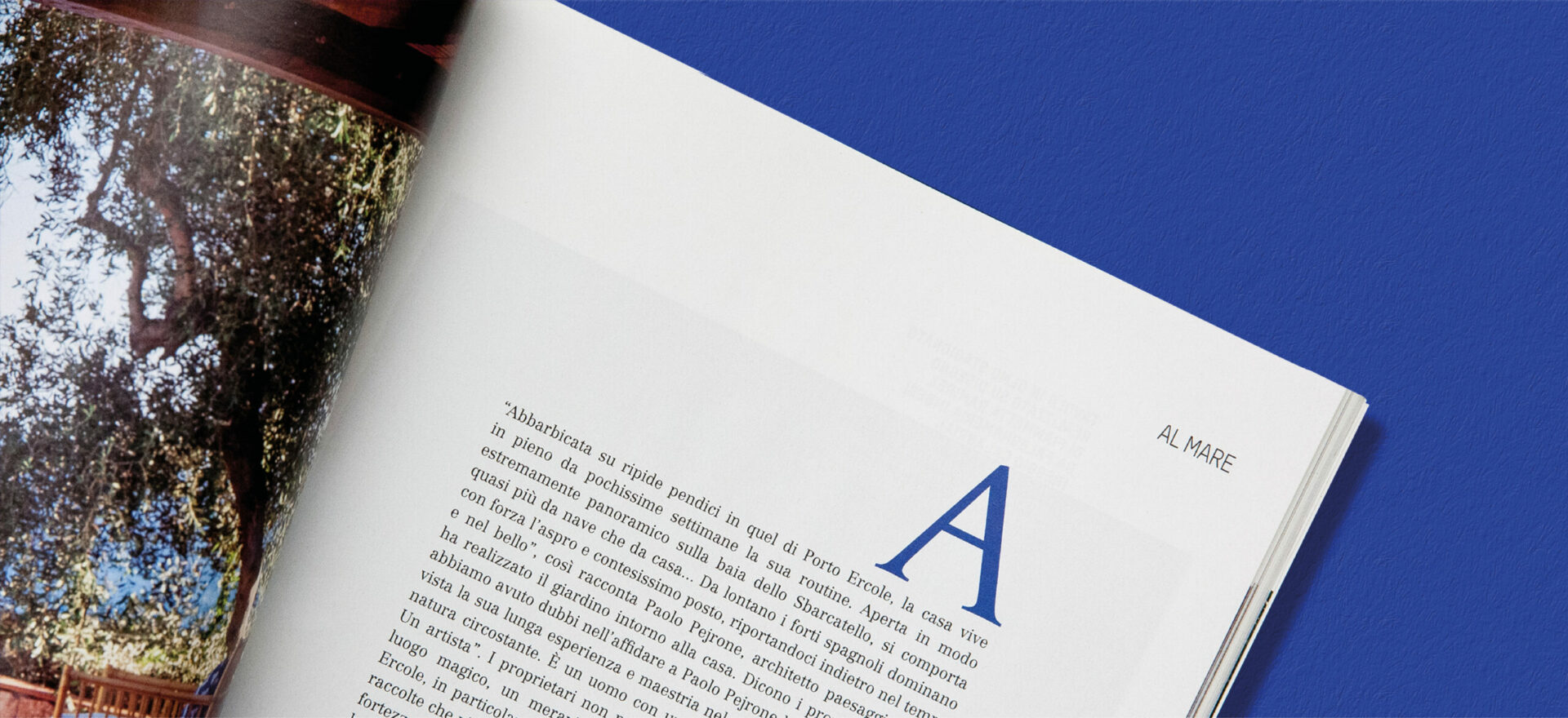 Close up photo of an opened Ville Giardini Magazine showing detail of the typography and composition of text and images used in the project of the Art Direction and Graphic Design for Visibilia Editore in a blue background.