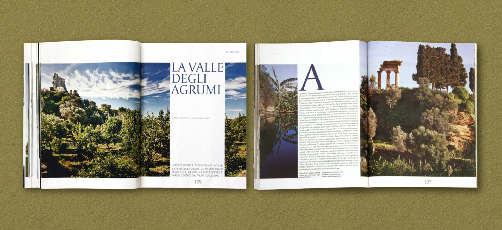 Two opened Ville Giardini magazines showing details of the typographies and compositions of text and images used in the project of the Art Direction and Graphic Design for Visibilia Editore in a brownish yellow background.