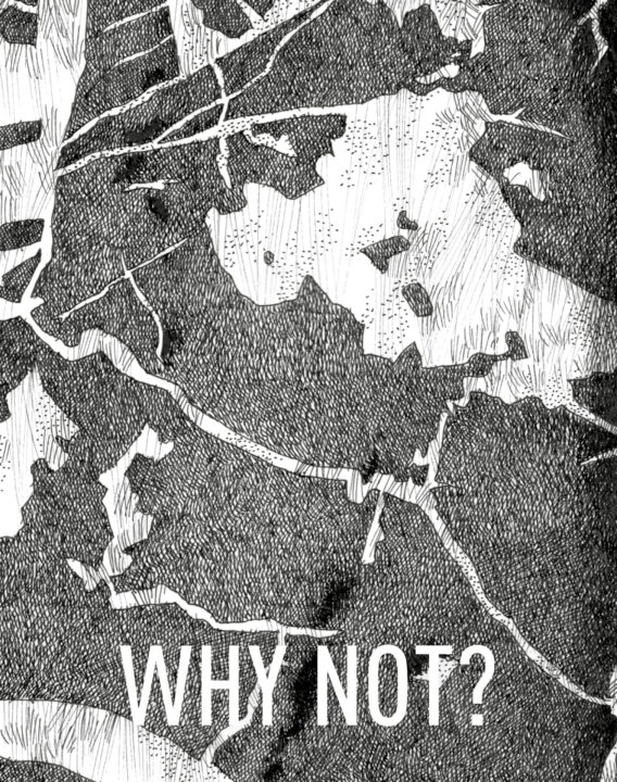 Why Not?-Mario-Trimarchi-Design-Newsletter-2026