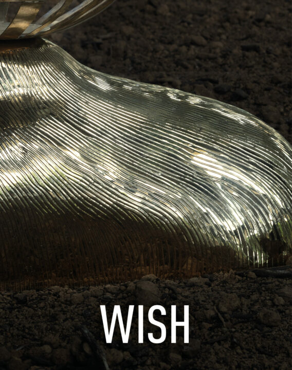 Wish-Mario-Trimarchi-Design-Newsletter-2026